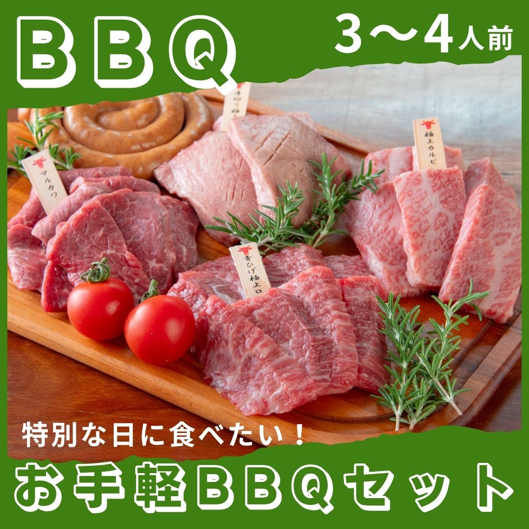 【新発売】お手軽BBQセット 3～4人前