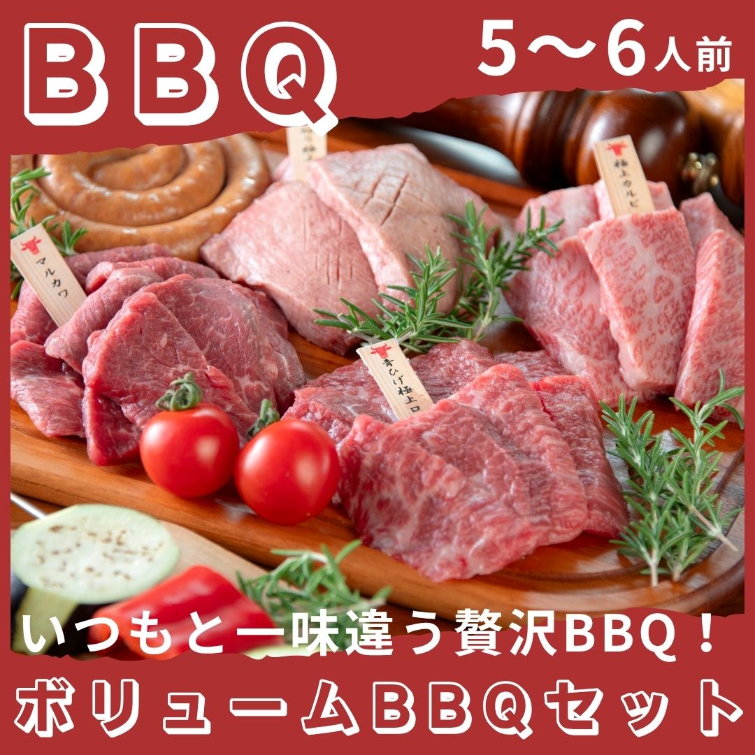 【新発売】ボリュームBBQセット 5～6人前